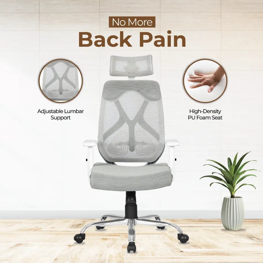 DECOIN Ergon Relax Ergonomic High Back Premium Executive Office Chair Grey