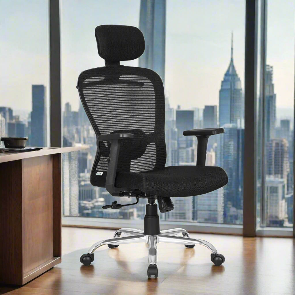 DECOIN Ergon Ergonomic High Back Premium Executive Office Chair Black